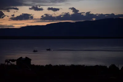 DSC_3333 (Large).JPG